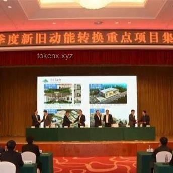 德国环保党挑战下的工业4.0未来：炸电厂、征肉税、鼓励大麻的潜在影响